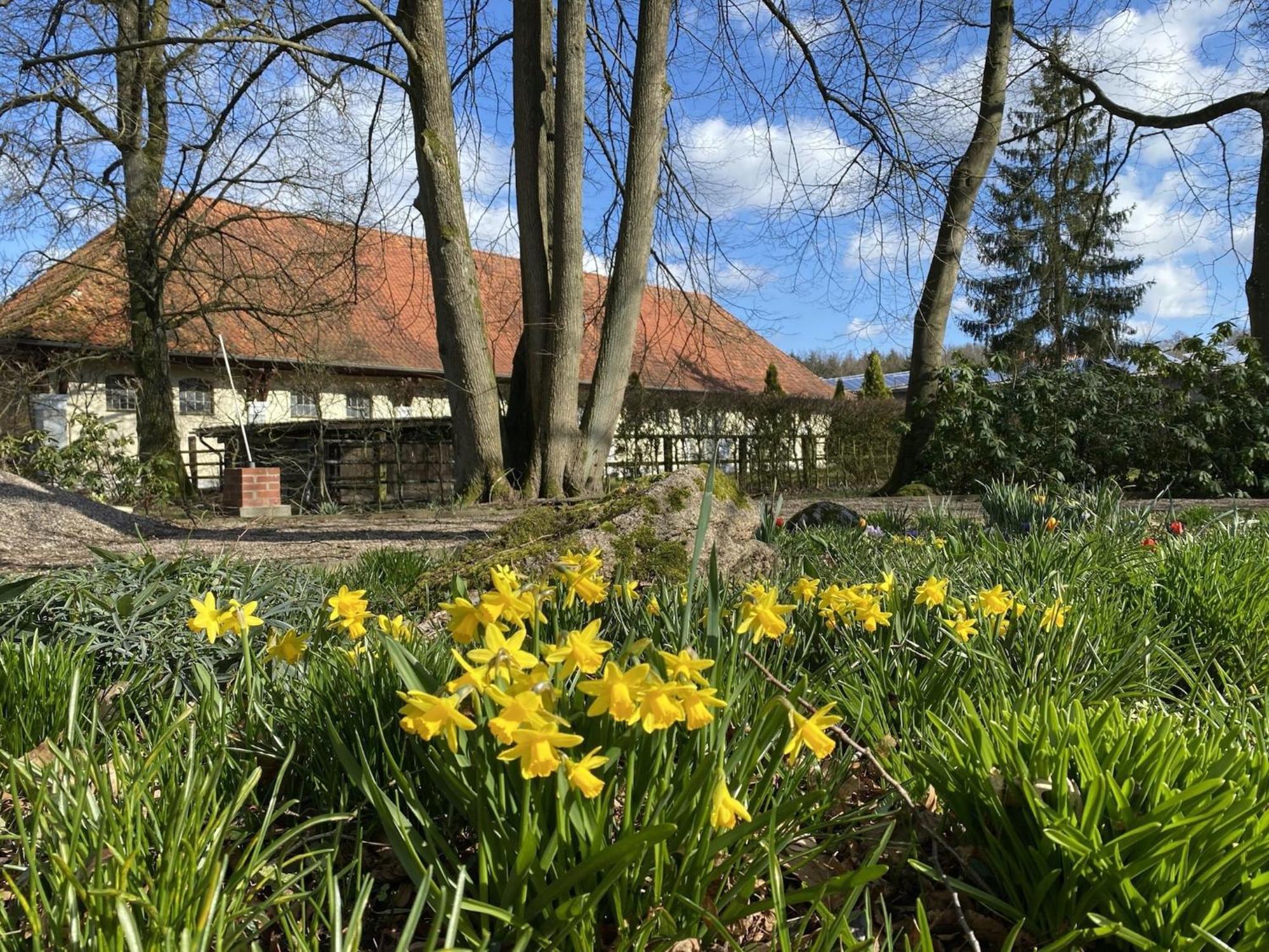 Cozy Holiday Home On A Horse Farm In The L Neburg Heath Eschede Exteriör bild