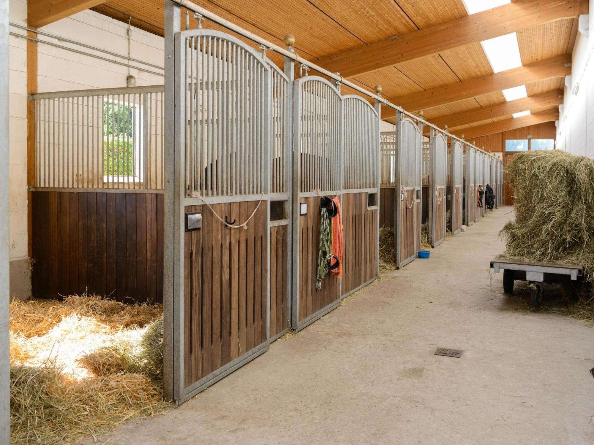 Cozy Holiday Home On A Horse Farm In The L Neburg Heath Eschede Exteriör bild