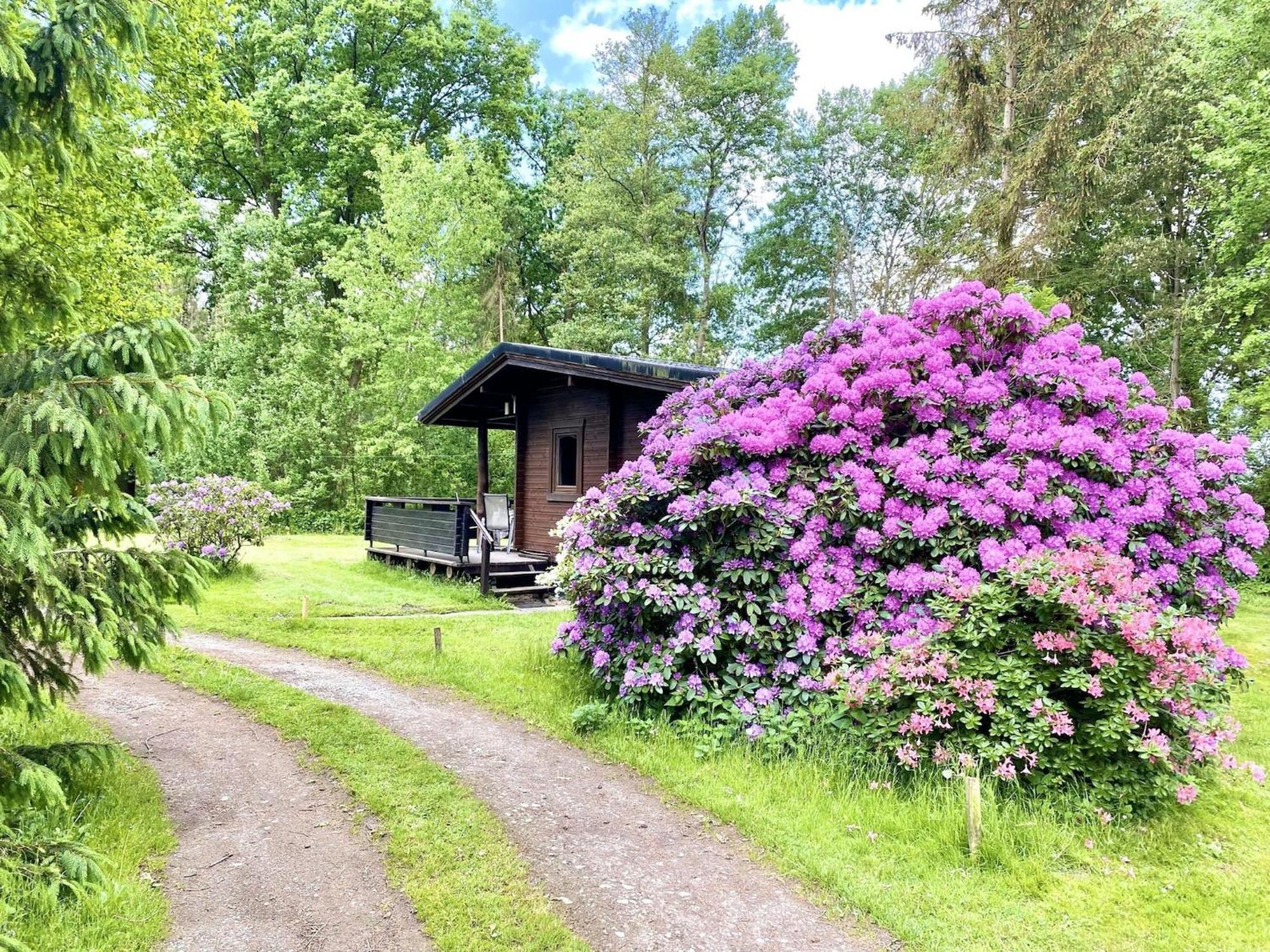 Cozy Holiday Home On A Horse Farm In The L Neburg Heath Eschede Exteriör bild