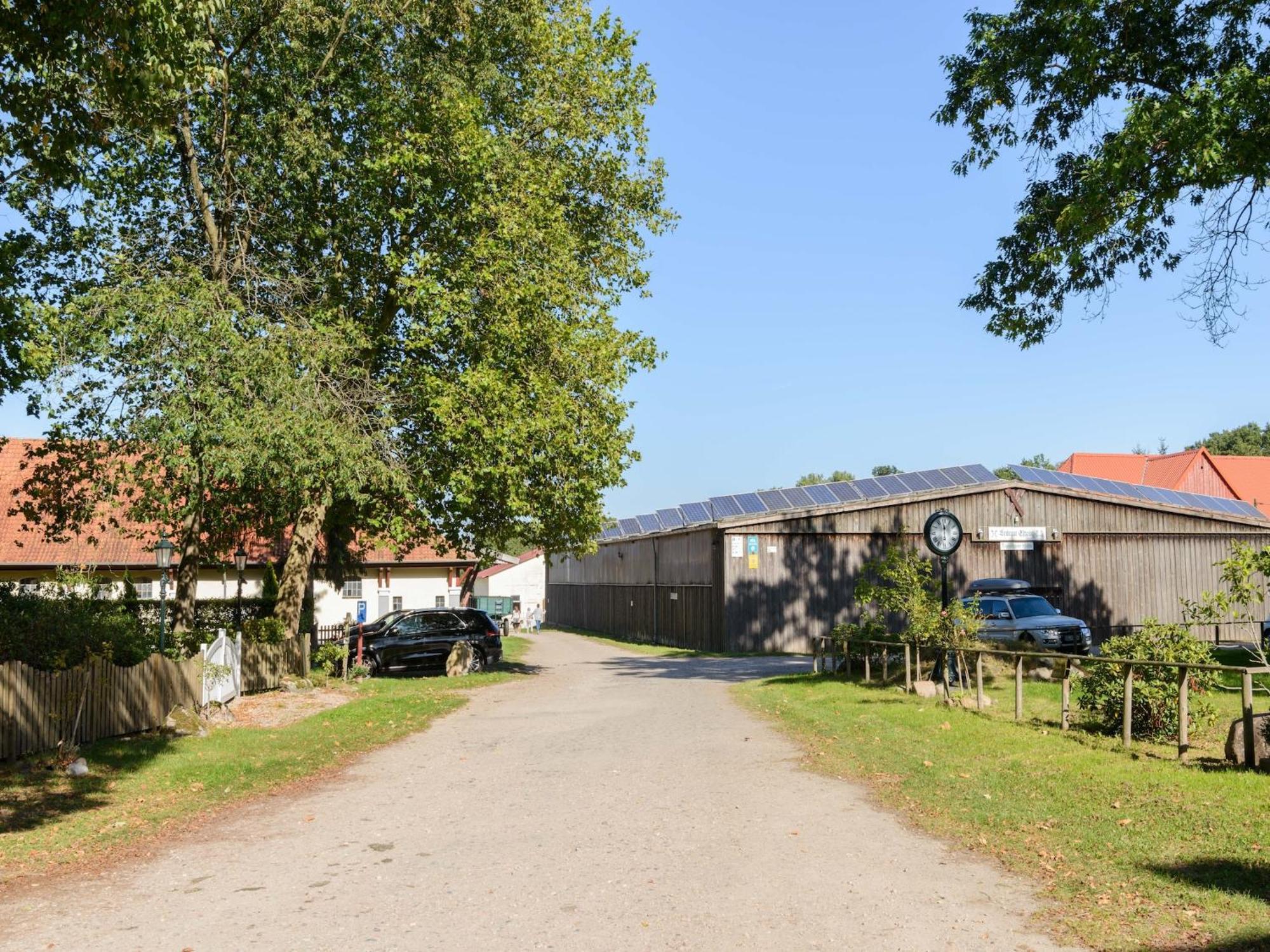 Cozy Holiday Home On A Horse Farm In The L Neburg Heath Eschede Exteriör bild