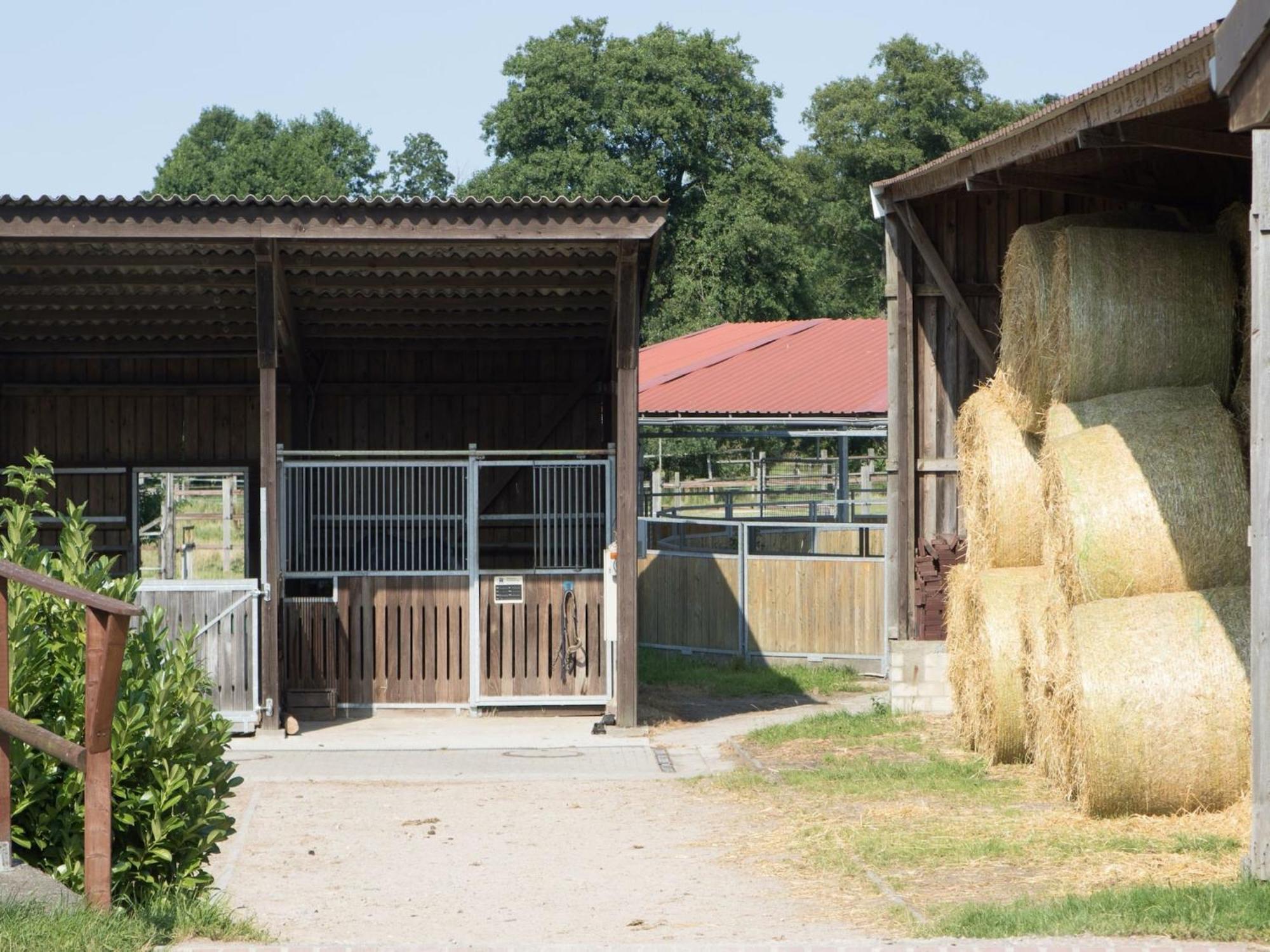 Cozy Holiday Home On A Horse Farm In The L Neburg Heath Eschede Exteriör bild